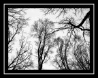 Le vene del cielo