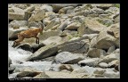 Val D'aosta, ricognizione in vista del workshop di Settembre