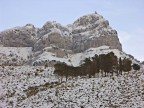 Ho usato la Minolta A2 con l' anti-shake.
E' chiamato anche Redentore per la statua posizionata in cima.
Sotto la montagna a sinistra, si intravede la piccola chiesetta di San Michele, meta di fotogenici pellegrinaggi...