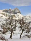 Dopo una abbondante nevicata, sono salito s in montagna con la mia "vecchia" Honda Xl 125, e ho scattato questa immagine con una Minolta A2. Ho aspettato che il sole illuminasse solo una parte della montagna per creare pi profondit alla scena (con le compatte digitali  difficile usare il diaframma creativamente, per via dell' alta profondit di campo delle focali ultra corte).