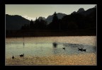 La luce della sera
