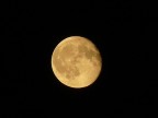 prima luna