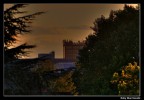 Scorcio di un palazzo immerso negli alberi di un tramonto milanese.
300mm f 5/6 HDR

commenti e suggerimenti graditi