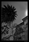 Inquietanti visioni