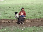 mi  piaciuta la composizione con il cagnolino che sembra incuriosito!!!