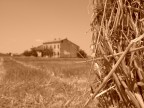Campagna