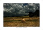 campagna