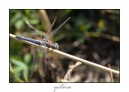 1/100 sec a f 8 iso 200