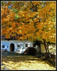 Ombra solare