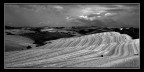 terre senesi 07 n.2