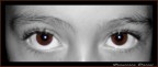 Sperimentando con Paint Shop...