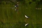 A spasso nel lago
