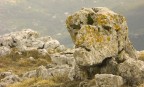 Mentre passeggiavo sulla montagna, ho visto questo masso...che mi guardava.
Siccome era "in posa" non potevo non fotografarlo...
Minolta A2