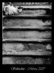 Solitudine