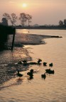 alla foce del piave