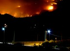 Wildfire