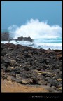 Fuerteventura 2007