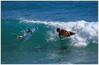 Surfing...