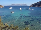 Mare