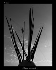 linee nel cielo