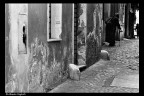 Roma Trip VII