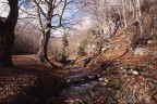 sorgente di vita