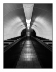 Nel ventre della citt  #2