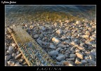 IN LAGUNA