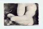 Immagine tratta dalla ricerca Finestre tattili