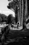 lungo il viale...