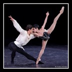 Ferri-Bolle