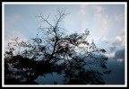 controluce1