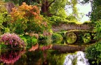 Ninfa