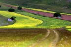 Castelluccio di Norcia