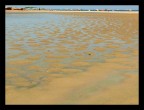 bassa marea