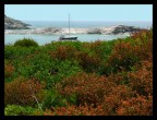 porto naturale