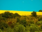  solo un esperimento di quanto si possano esasperare i colori da uno scatto in raw
