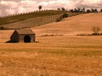 lo scatto  volutamento stato fatto con un diaframma leggermente aperto per imbrogliare lo sfondo