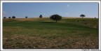 Colline umbre