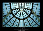 Il ragno