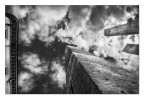 Verso il cielo