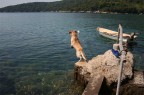 Tuffo 1