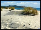 dune di PortoPino