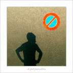 il contravventore