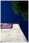 Zorro Home 1