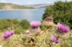 paesaggio