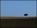 Alone