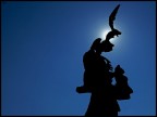 david controluce