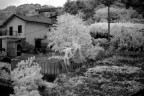 Fuji S5 Pro
Nikkor 28mm f/3.5 AI-S
Filtro Hoya Infrared R72