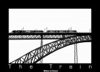 The train
